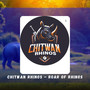 Chitwan Rhinos - Roar of Rhinos