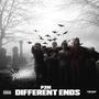 Different Ends (feat. P2M Shifty, P2M Savage & P2M AJ) [Explicit]