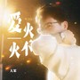 爱火不火(粤语版)