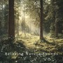 Nature Dreams: Healing Sounds for Relaxation