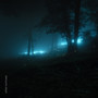 fireflies