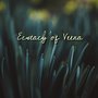 Ecstacy of Veena