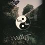 Wait (Explicit)