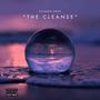 The Cleanse (Explicit)