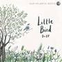 Little Bird (The EP)