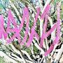 Flyden (Explicit)