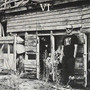 VI