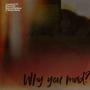 Why you mad? (feat. 90Sitcom, D-Beezy Baby & Nebula Redeye) [Explicit]