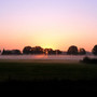 Still Dawn