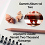 Garnett Album, Vol. Two