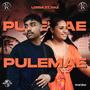 Pulemae (feat. Naz)