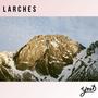 Larches