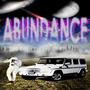 ABUNDANCE (Explicit)