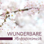 Wunderbare Meditationsmusik - Natur für Schlafen, Meditation und Entspannen