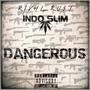 Dangerous (feat. Indo Slim) [Explicit]