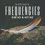 Natures Frequencies 528hz & 417hz