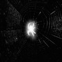 cold (Explicit)
