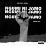 Ngumi ni Jamo