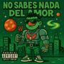 No sabes nada del amor (Explicit)