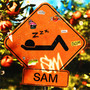 SAM (Explicit)