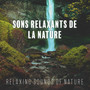 Sons Relaxants de la Nature (Relaxing Sounds of Nature)