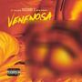Venenosa (feat. Kiloe Costeño & Aye Peru)