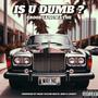 IS U DUMB ? (Explicit)