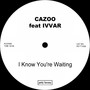 I Know You're Waiting (feat. Ivvar)