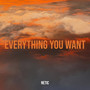 Everything You Want