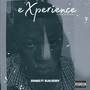 Experience (Explicit)