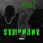 10 Year Symphony (Explicit)