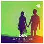 Wait for Me (Animale Remix) [Radio Edit]