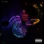 Huh, Vol. 1 (Explicit)
