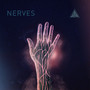 Nerves (Explicit)