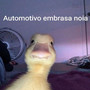 Automotivo embrasa noia (Explicit)