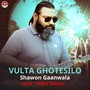 Vulta Ghotesilo