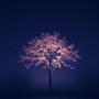 Aetherlight