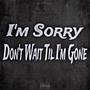 I'm Sorry, Don't Wait Til I'm Gone (Explicit)