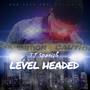 Level Headed