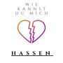 Wie kannst du mich hassen (feat. RobbyTrouble) [Explicit]