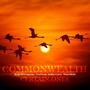 Commonwealth (feat. Reign Mfn Supreme, Feral Serge, Bobby Craves & Wann Sklobi) [Explicit]