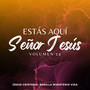 Estás Aquí Señor Jesús, Vol. 14