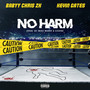 No Harm (Explicit)