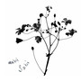 wabi sabi