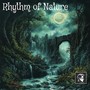 Rhythm of Nature (Radio Edit)