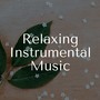 Relaxing Instrumental Music and Sounds with Nature Sounds, Sound of Rain