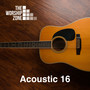 Acoustic 16