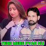 Tere Mere Pyar Nu