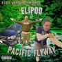 Pacific Flyway (Explicit)