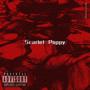 Project IV: Scarlet Poppy (Explicit)